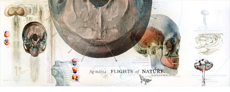 flights of nature : exhibit companion